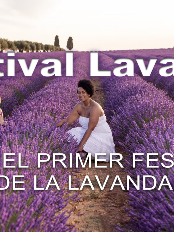Festival Aroma de la Alcarria: Experiencia única de Lavanda cerca de Madrid